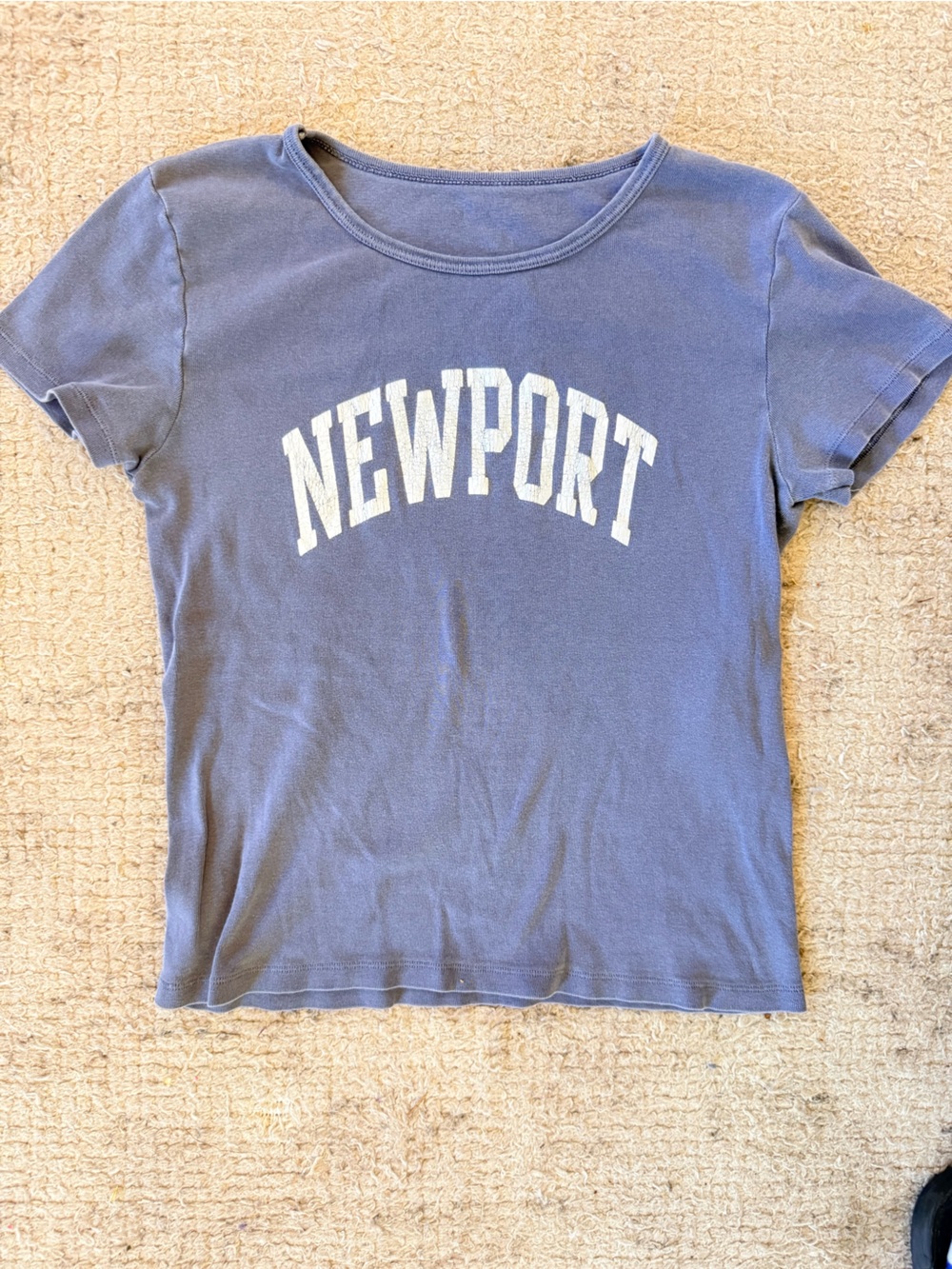Brandy Melville Newport Short Sleeve Tee in Dusty Blue with White Logo